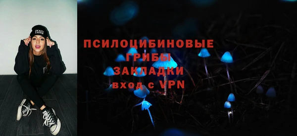 стафф Алексин