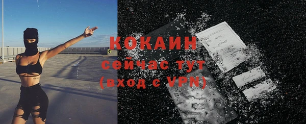 стафф Алексин