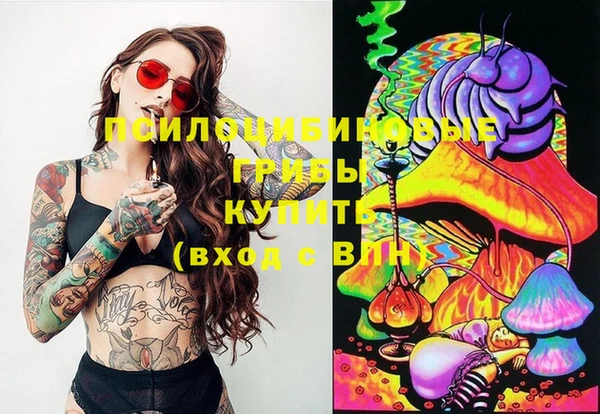 шишки Абинск