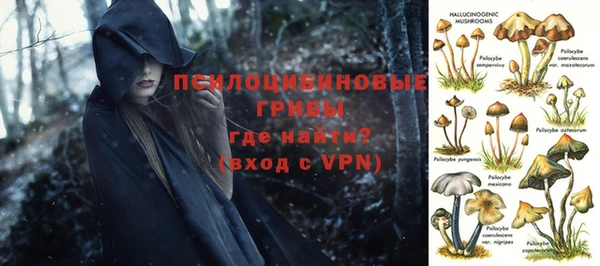 стафф Алексин
