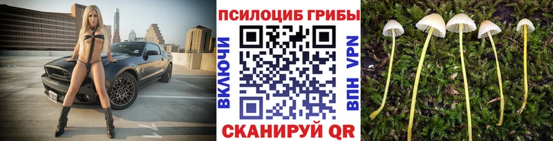 Галлюциногенные грибы ЛСД  хочу   Лысьва 